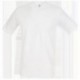 T-SHIRT STEDMAN ST2010 COTONE ADERENTE UOMO MANICA CORTA 